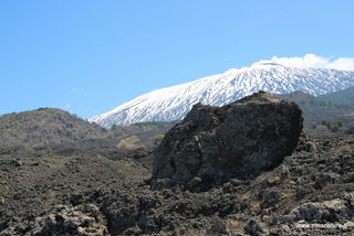 nte Egitto-29-04-2023 10-07-20